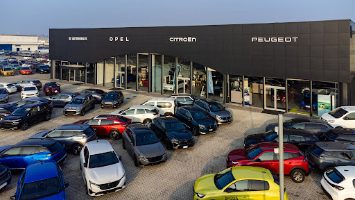 Citroën - Move | Gruppo Ferrari Gallery - Italy