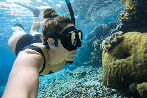 Cairns Tours & The Travel Shop - Thumbnail