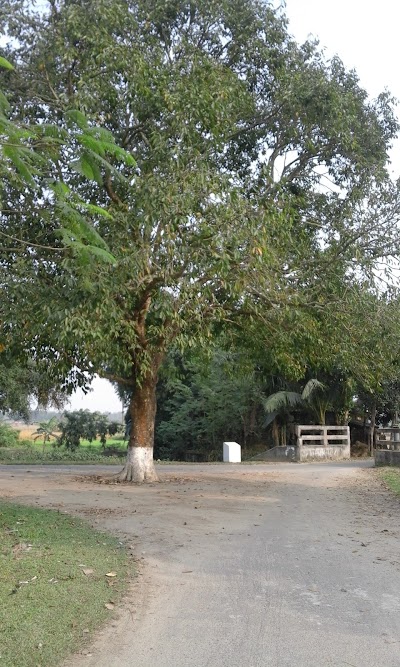 Photos of Al Amin Yetim Khana Post Office