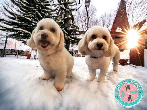 Jersey Girl Grooming LLC - Thumbnail