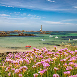Photo n°26 de Vedettes des Abers à Landéda (Agence d'excursions en bateau)
