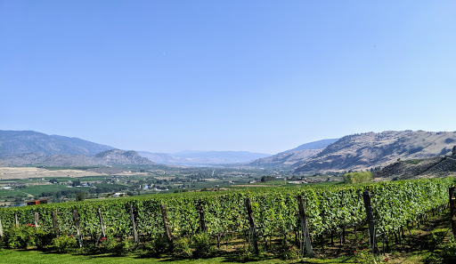 Culmina Family Estate Winery Gallery - Canada