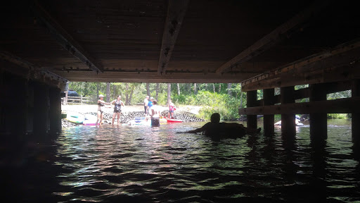 Evans Bridge - Visual