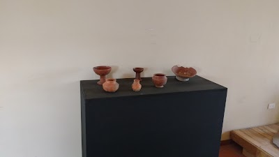 Photos of Yachay Botanical Garden