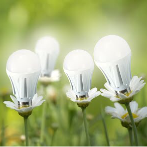 Pilgrim Electrical - Visual