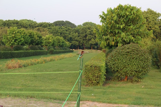 Mehtab Bagh