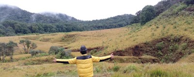 Photos of Tegal Panjang, Cagar Alam Gunung Papandayan