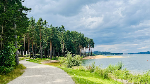 bikes & more Rikscha Zentrum - Thumbnail