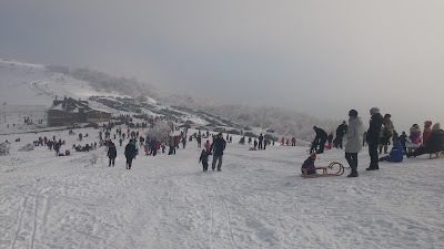 Photos of Smetovi