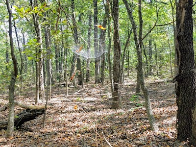 Turkey Mountain Urban Wilderness