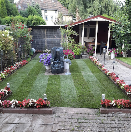 Milan Gebäude- und Grundstücksservice photo