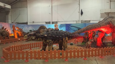 Photos of Arena Camp Jordan