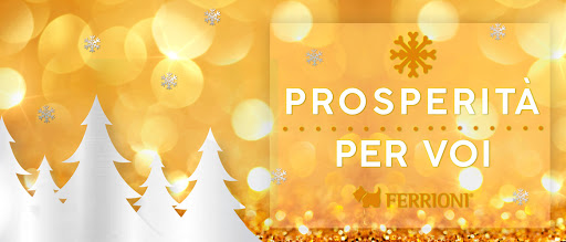 Ferrioni Outlet - Town Center Nicolas Romero - Thumbnail