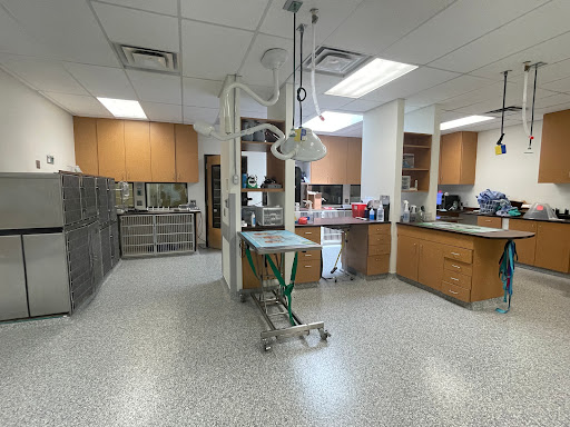 Longmont Small Animal Hospital - Thumbnail