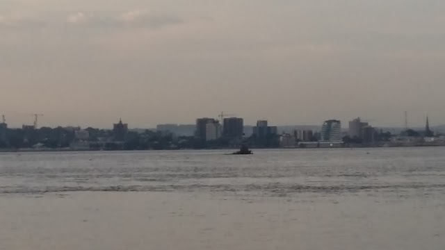 Majestic River