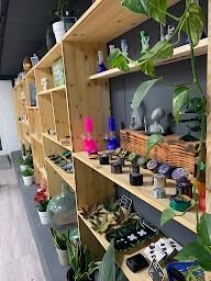 Photo n°19 de L'Antre du CBD à Vallauris (Centre de bien-être)