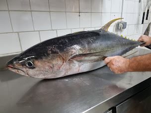 Photo n°28 de O ti prince à Saint-François (Restaurant)