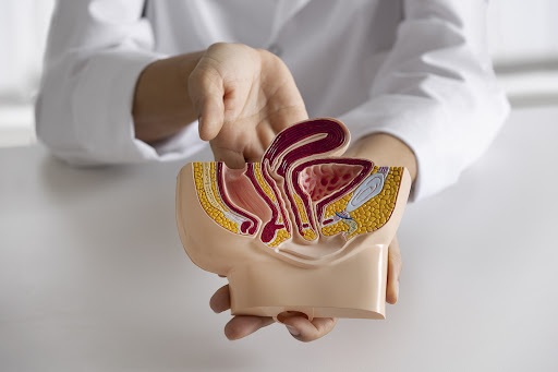 Urethral Diverticulum Repair at HEALTH CORNER, Assam post image
