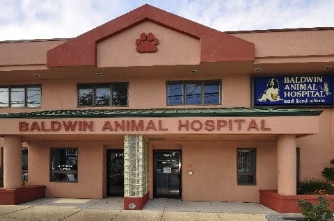 Baldwin Animal Hospital - Thumbnail
