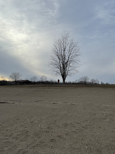 Delaware State Park Beach - Thumbnail
