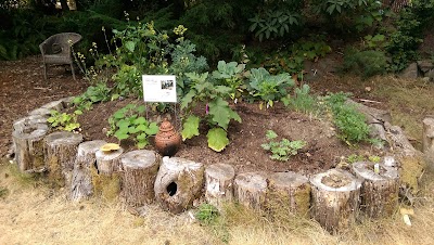 Stone Soup Gardens