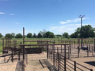 Central City Veterinary Clinic