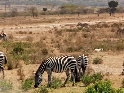 Photos of Kigio Wildlife Conservancy