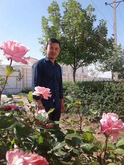 Photos of پارک قندیشاد