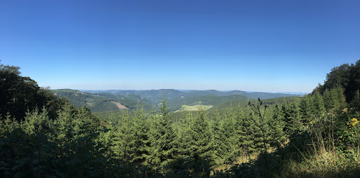 Rothaarkamm am Grenzweg Gallery - Germany