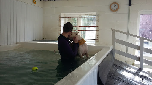 Aquapaws Sheffield Canine Hydrotherapy - Thumbnail
