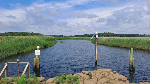 Old Eastern Marsh Trail - Thumbnail
