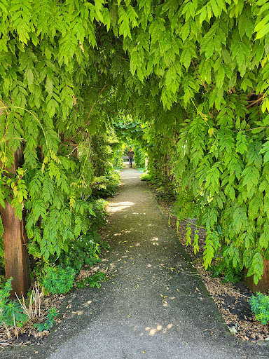 Städtischer Schulgarten