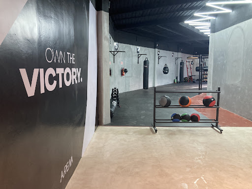 Arena Kickboxing Studio