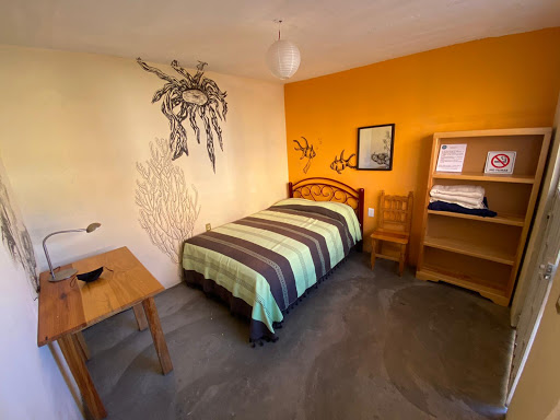 LOS NARDOS HOSTEL -PET FRIENDLY- Gallery - Mexico