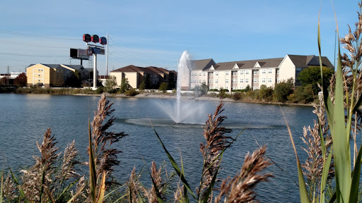 Lake County Convention and Visitors Bureau Gallery - United States