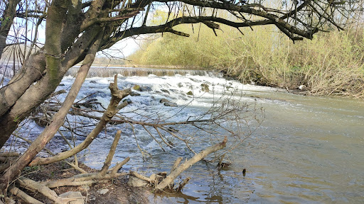 Petite cascade - Thumbnail