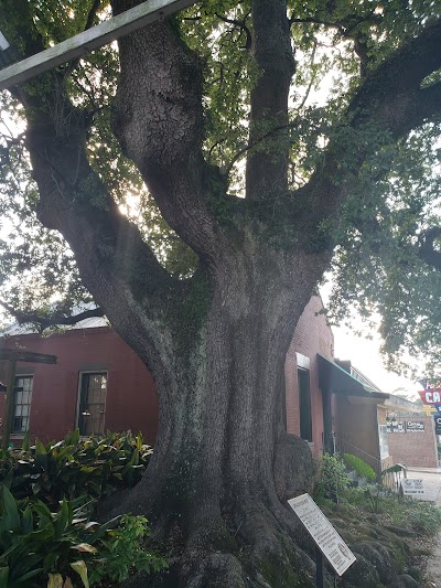 Opelousas Historic District