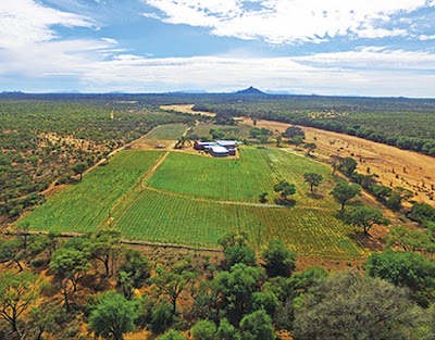 Photos of Erongo Mountain Winery