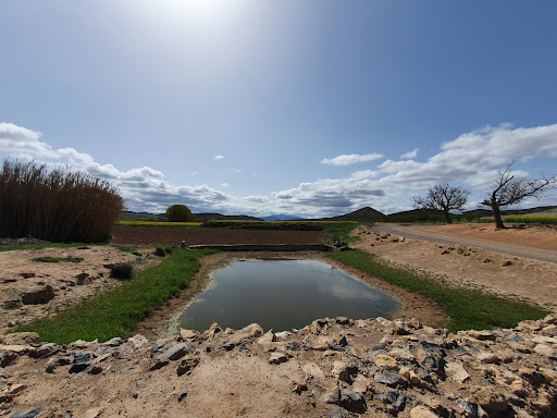 Fuente de Andacón - Thumbnail