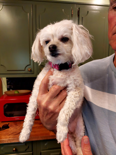 Bark & Brush Groom Room - Thumbnail
