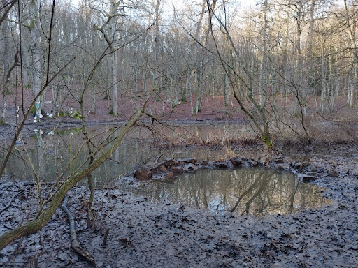 Stagno di Percedol/Prčjedolska mlaka