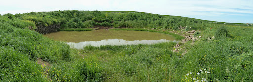 Stagno Masseria Ciminiero - Thumbnail