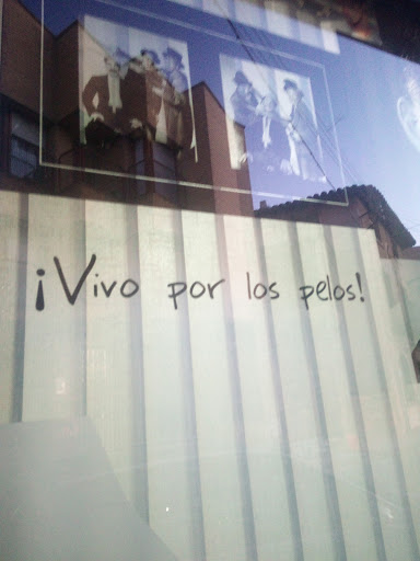 Peluqueria Luis Barrau - Thumbnail