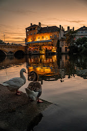 Photo n°143 de L'Assiette au Bœuf Metz à Metz (Restaurant)