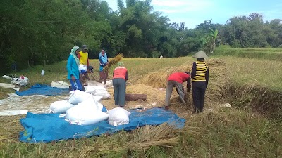 Photos of Taman wisata buah madu