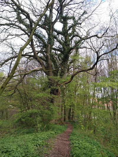Photos of iutspann Hiddentrup