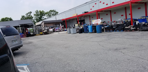 Shep's Discount - Visual