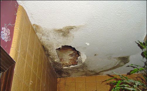 Nation's Drywall Repair - Thumbnail