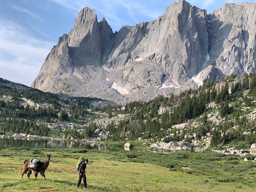 Wasatch Front Llamas - Thumbnail