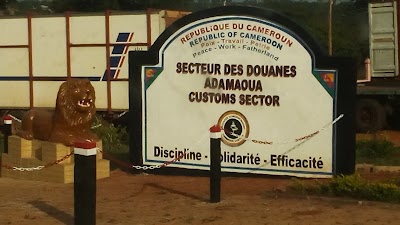 Photos of The Customs Sector In Adamawa
